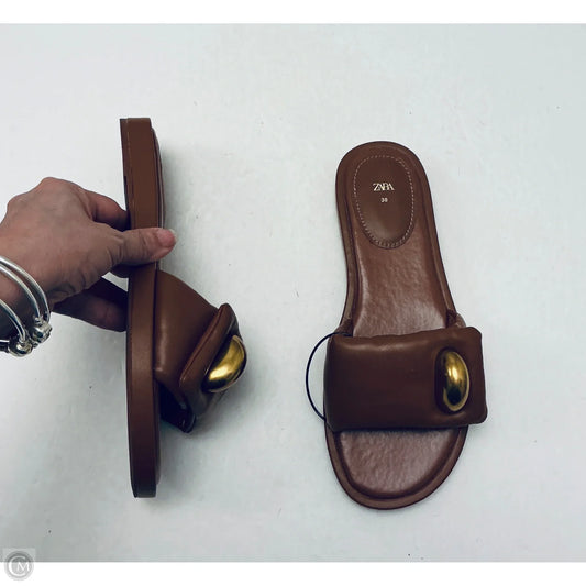 Sandals Flats By Zara In Brown, Size: 8