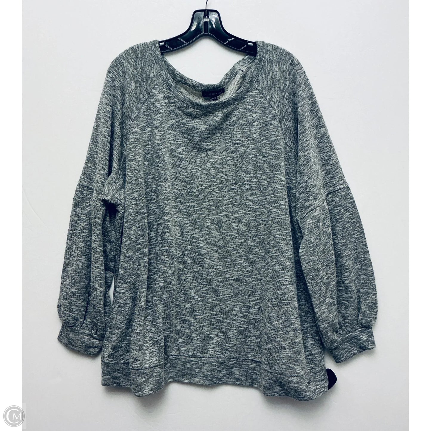 Top Long Sleeve By Lane Bryant In Grey, Size: 3x