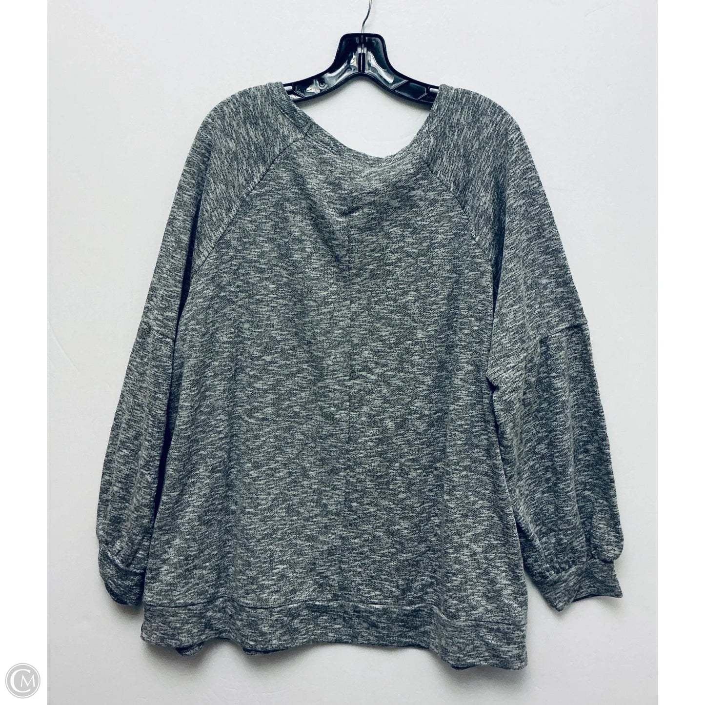 Top Long Sleeve By Lane Bryant In Grey, Size: 3x