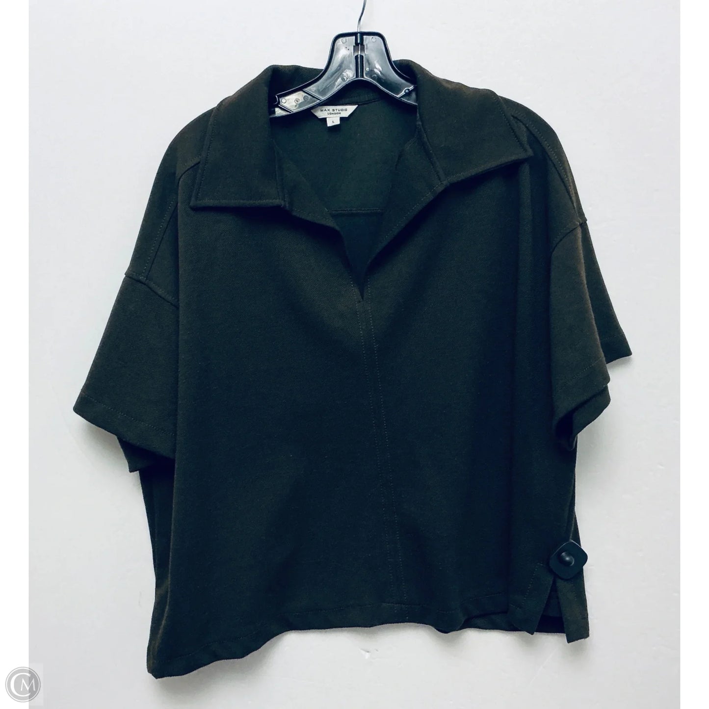 Pants Set 2pc By Max Studio In Green, Size: L