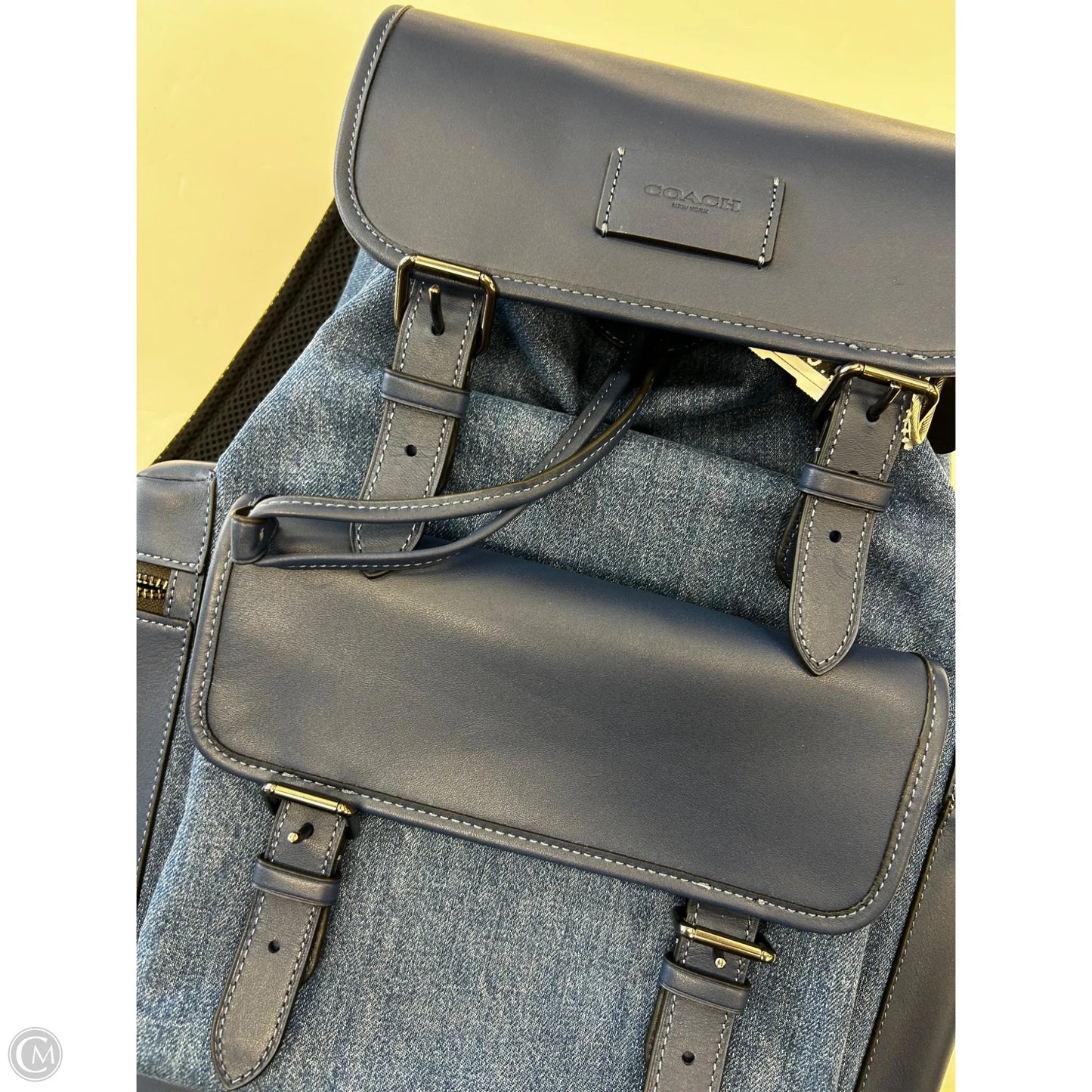 Backpack Designer By Coach, Size: Large