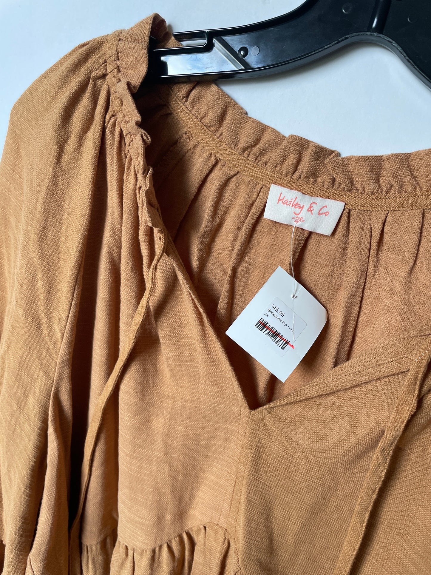 Brown Top Long Sleeve Hailey & Co, Size 2x