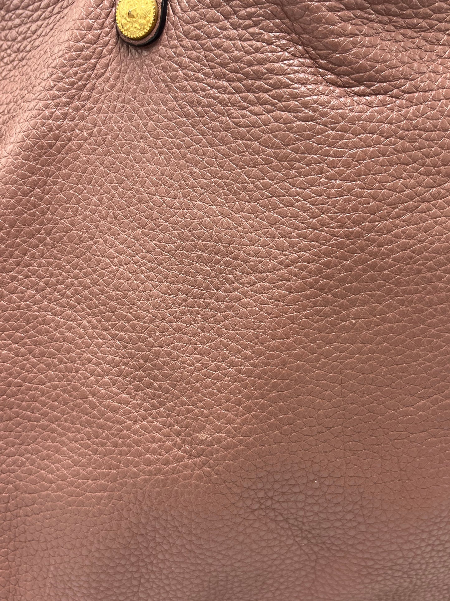 Valentino-Faravani Gryphon Zodiac Designer Luxury Tote