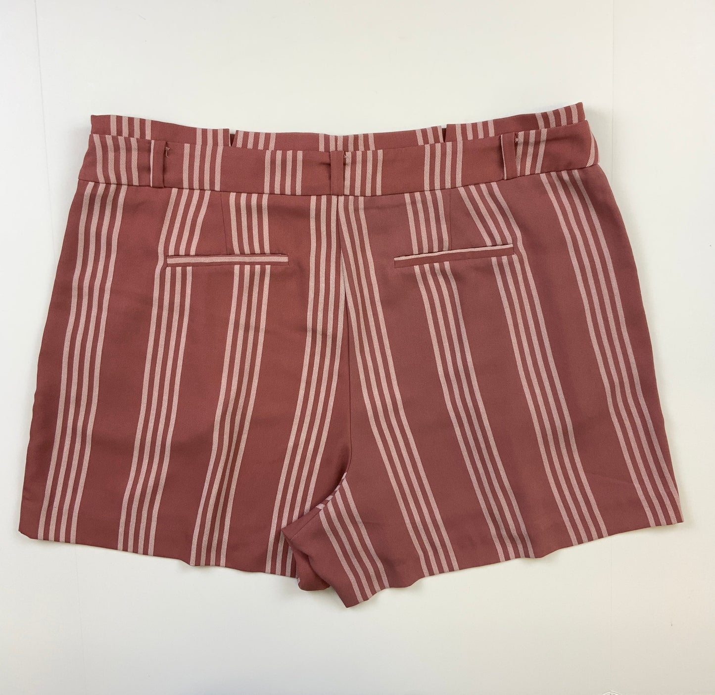 Mauve Shorts Torrid, Size 20