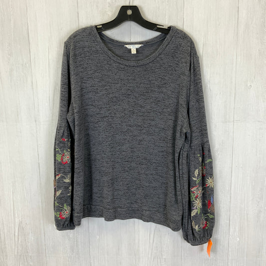 Top Long Sleeve By Time And Tru In Grey, Size: Xl