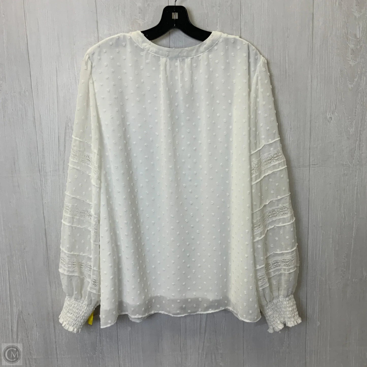 Blouse Long Sleeve By Clothes Mentor In Cream, Size: 1x
