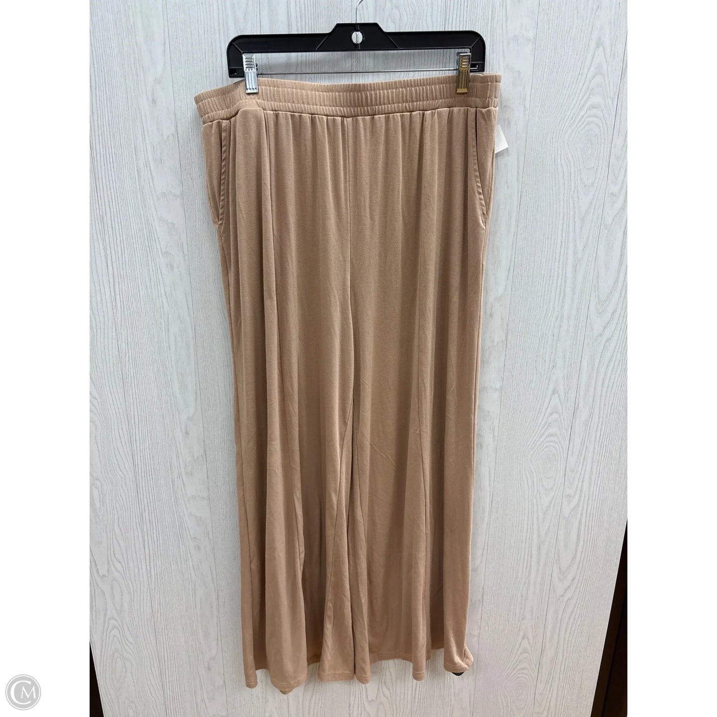 Pants Set 2pc By Clothes Mentor In Tan, Size: 3x