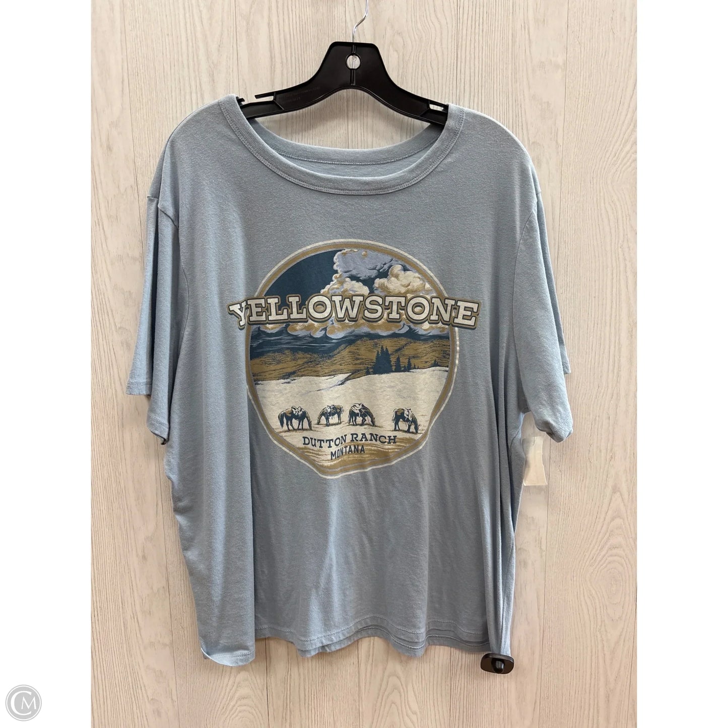 Top Short Sleeve Basic By Clothes Mentor In Blue, Size: 1x