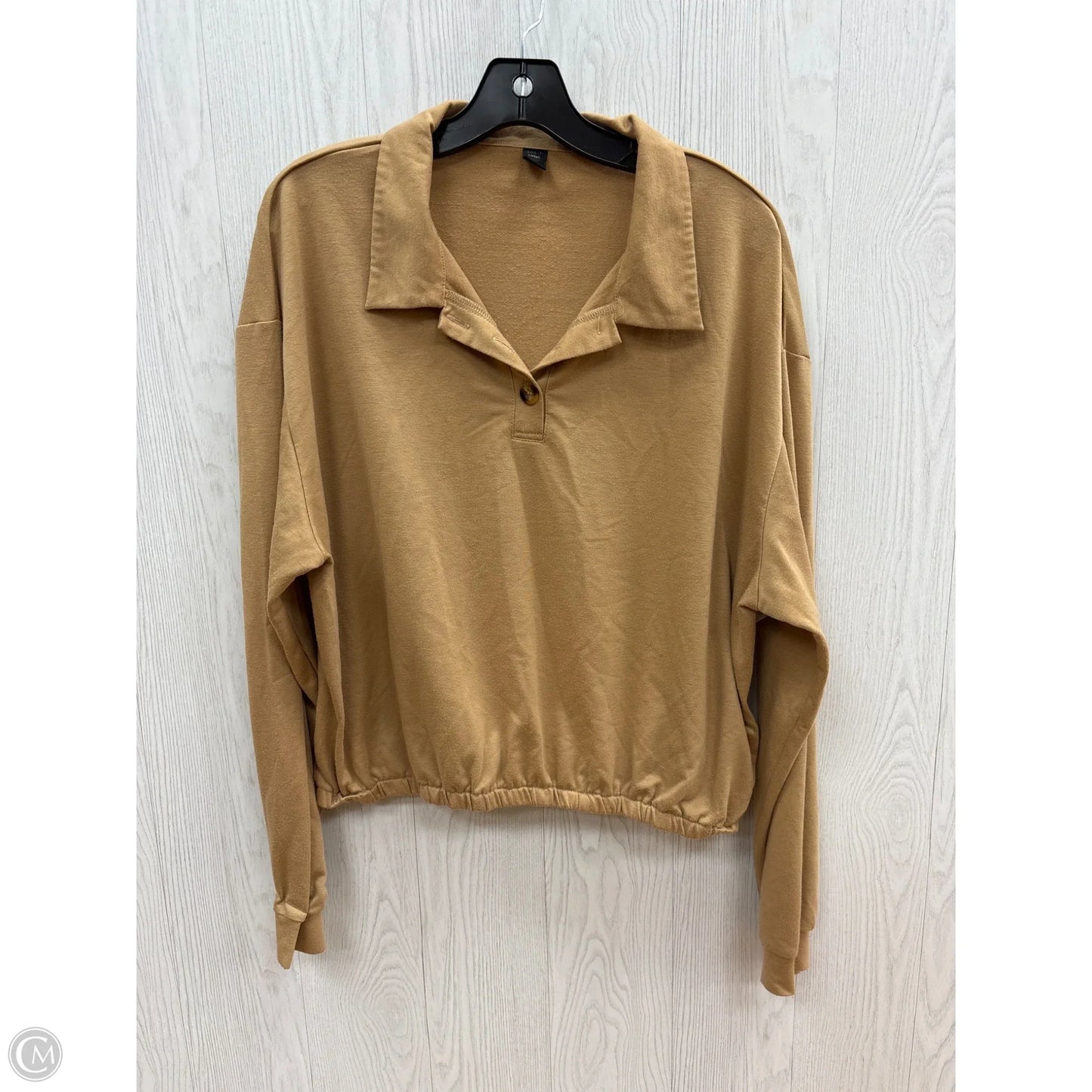 Top Long Sleeve By Shein In Tan, Size: 2x
