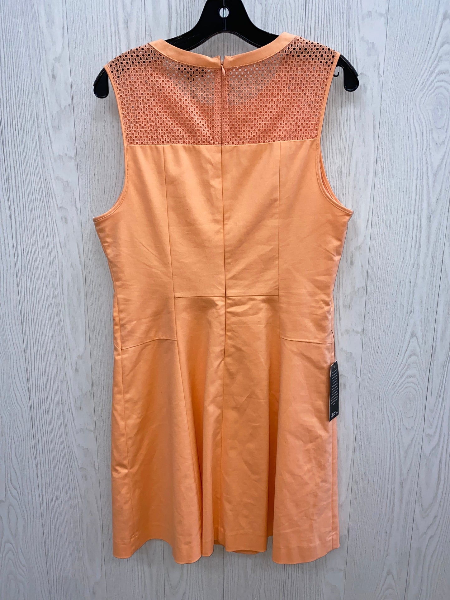Orange Dress Casual Midi Limited, Size 12