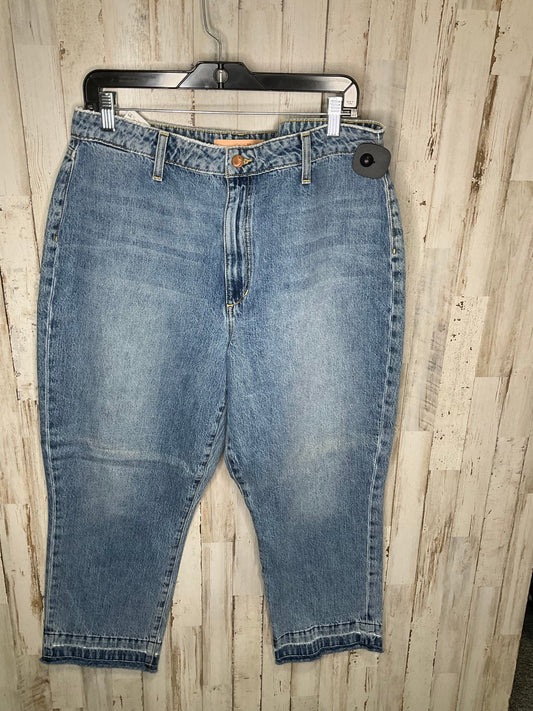 Jeans Straight By Joes Jeans  Size: 18