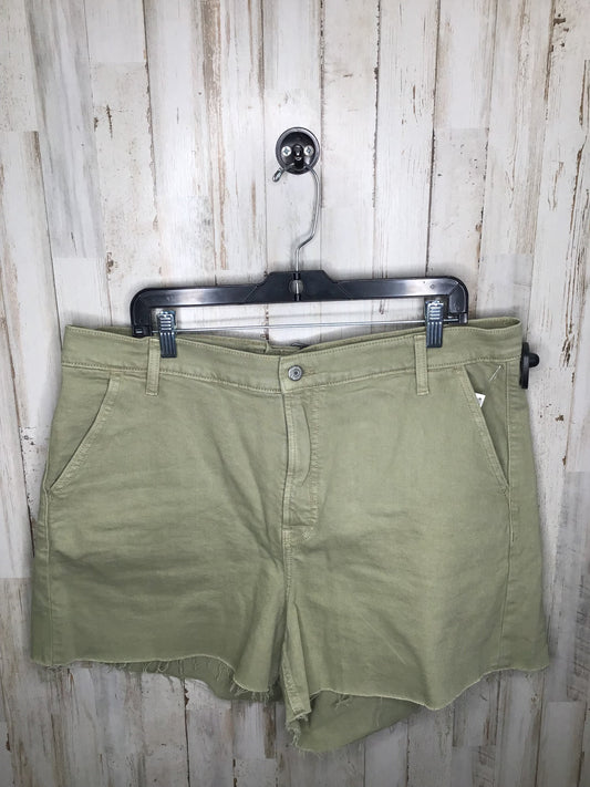 Green Shorts Old Navy, Size 18