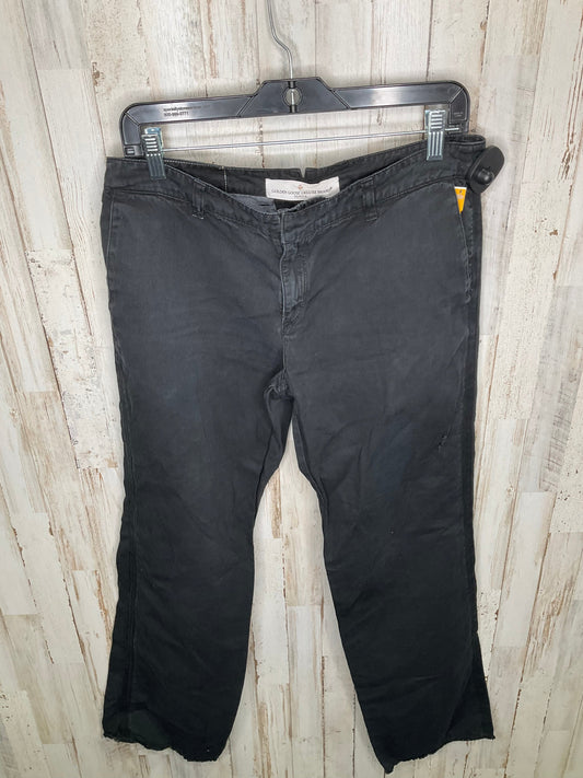 Jeans Boot Cut By Golden Goose  Size: 10