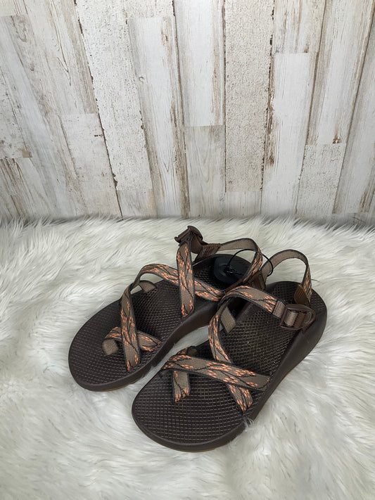 Brown Sandals Sport Chacos, Size 9