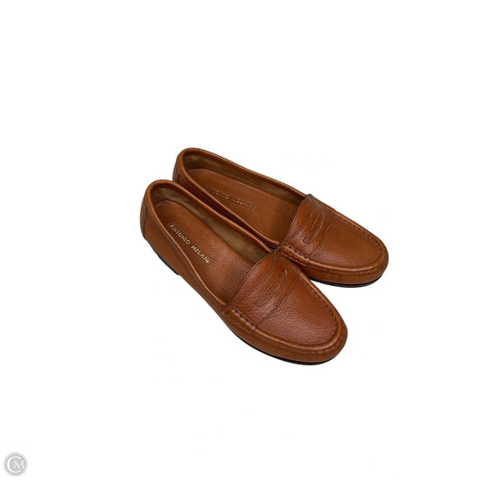 Shoes Flats By Antonio Melani In Brown, Size: 8