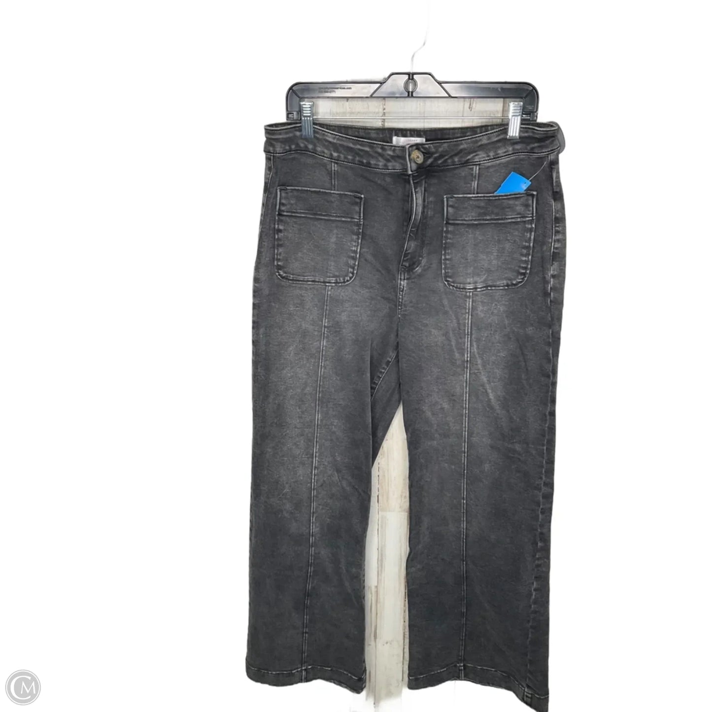 Jeans Wide Leg By Lc Lauren Conrad In Grey, Size: 14