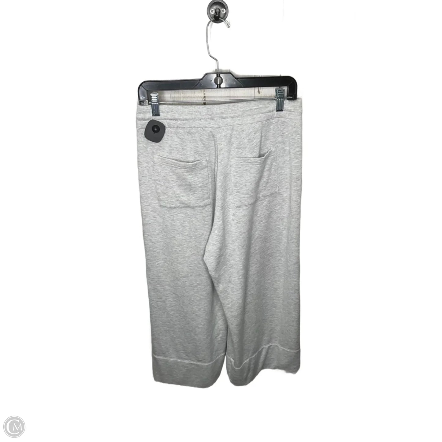 Athletic Pants By Quince In Grey, Size: M