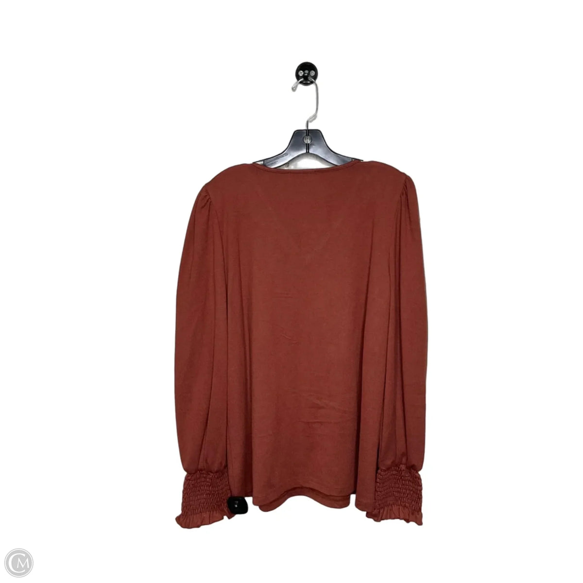 Top Long Sleeve Basic By Clothes Mentor In Brown, Size: 1x