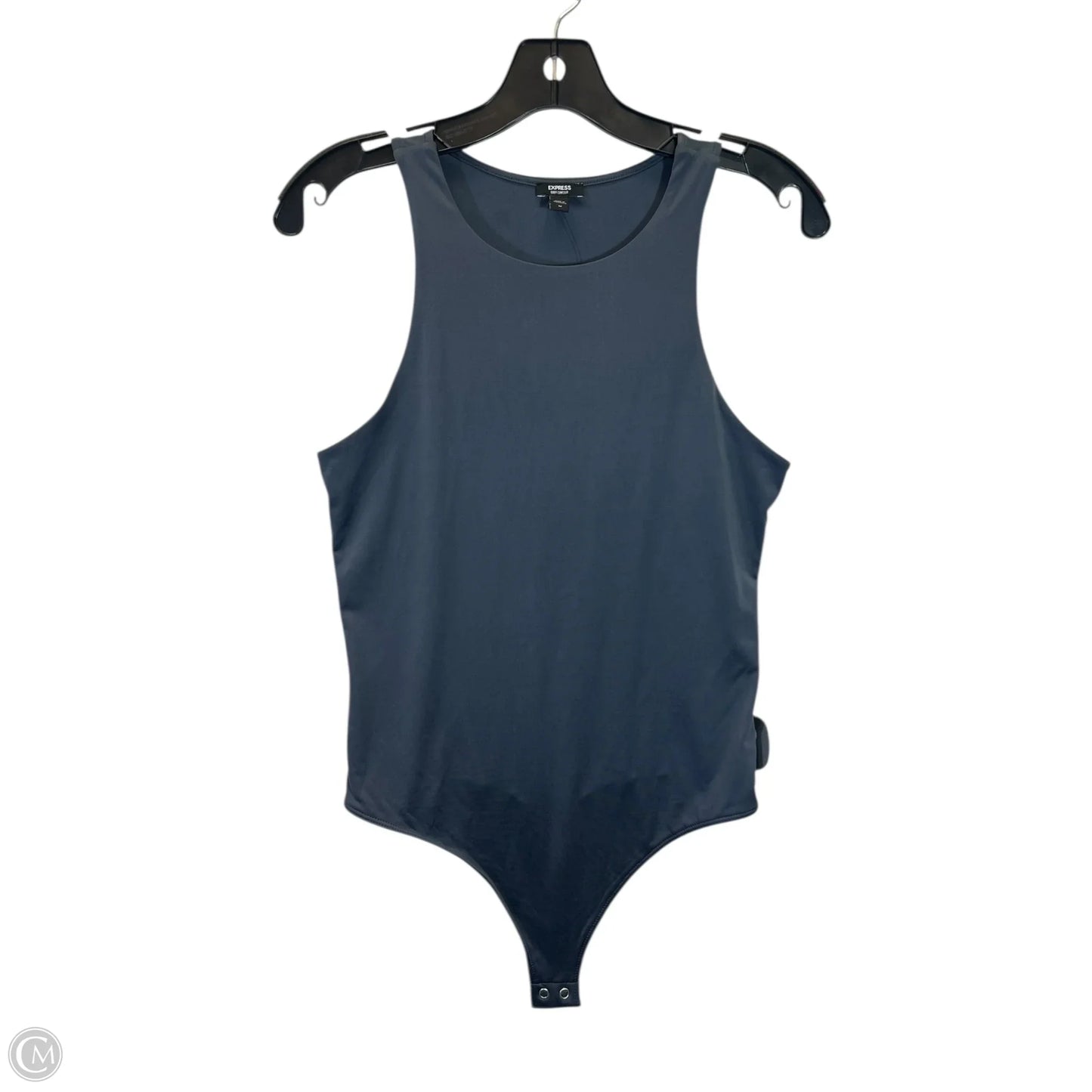 Bodysuit By Express In Grey, Size: L