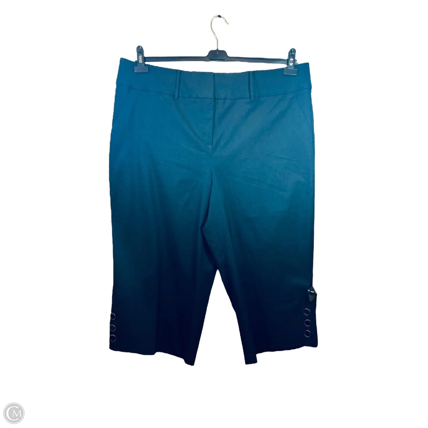 Pants Wide Leg By Lane Bryant In Navy, Size: 22