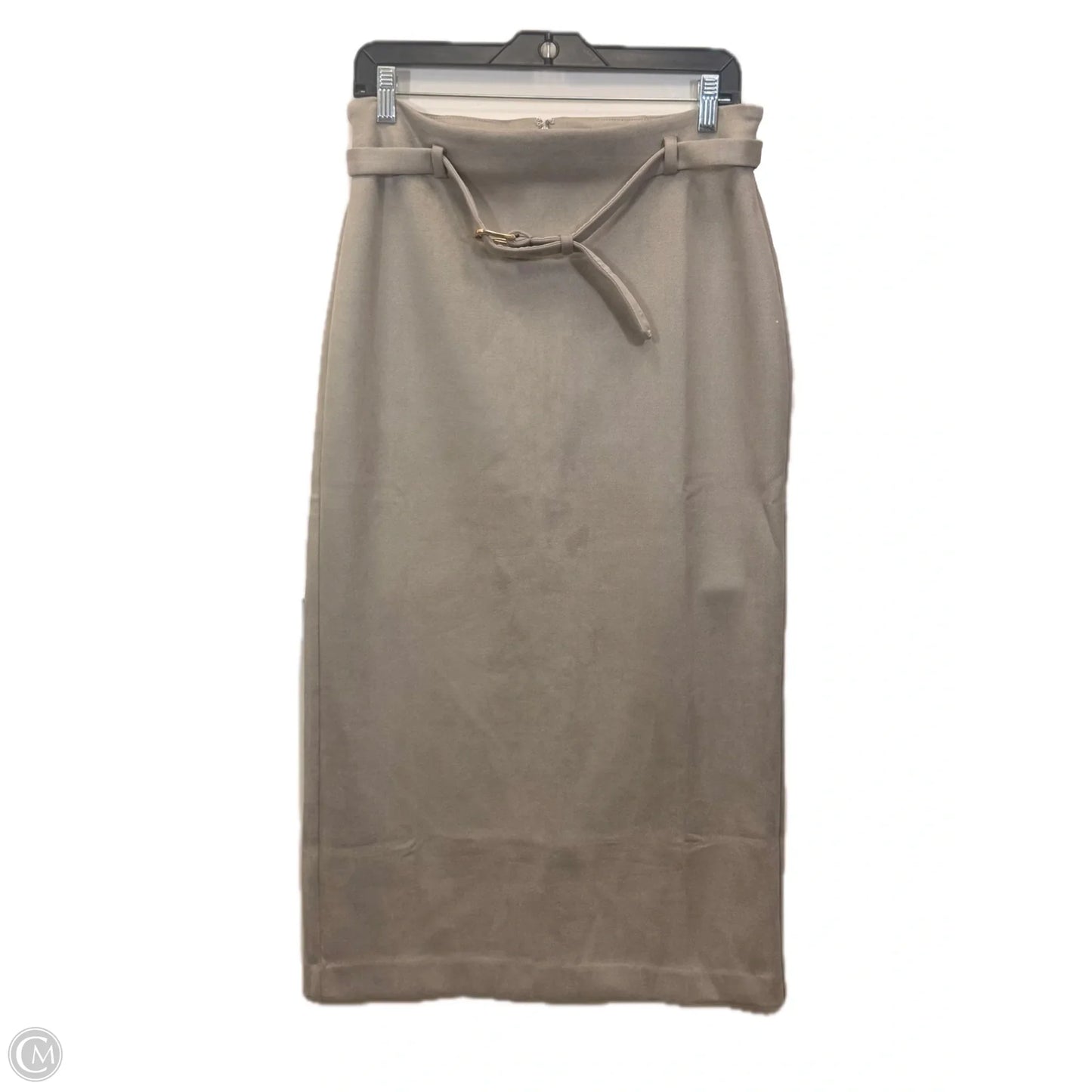 Skirt Maxi By Ann Taylor In Taupe, Size: M