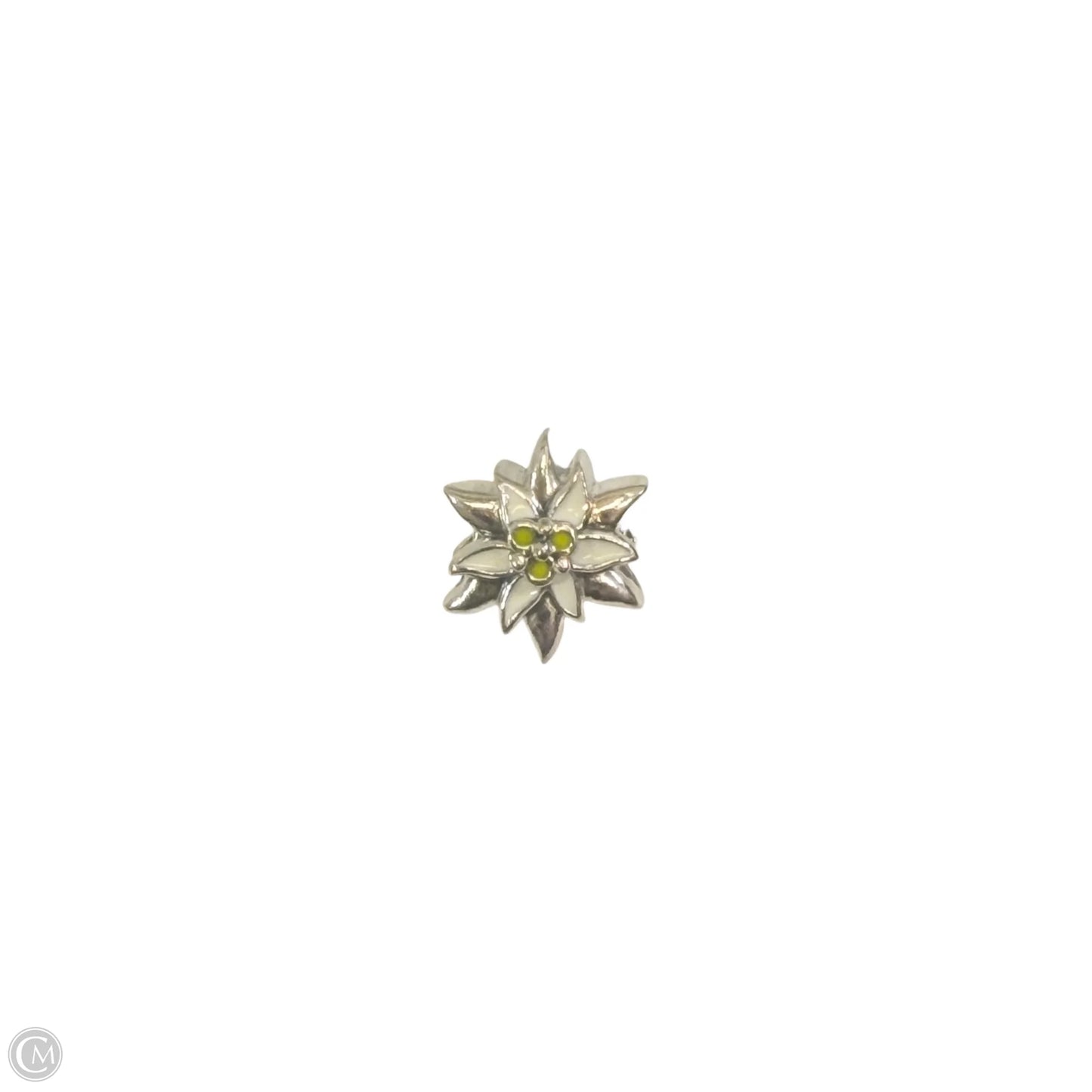 Bracelet Charm By Pandora