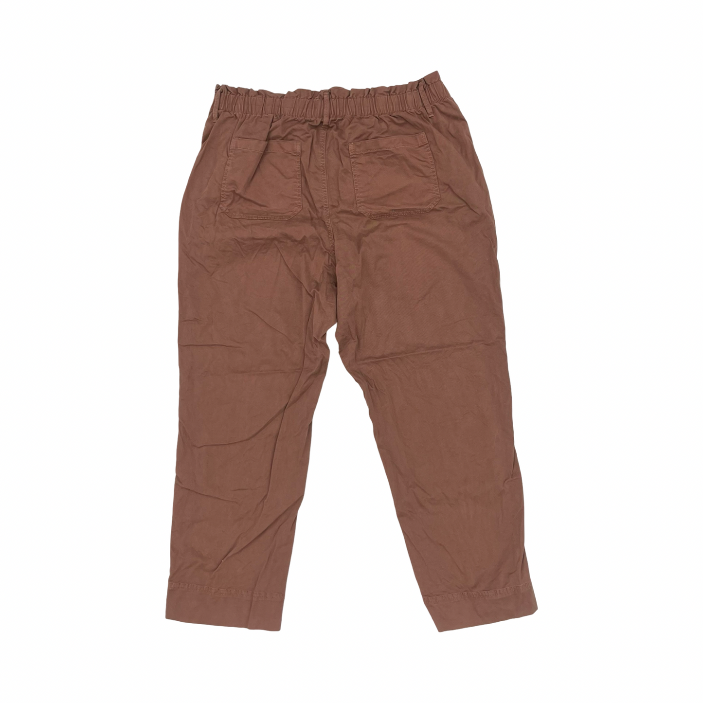 Pants Other By Sonoma In Brown, Size:Xl