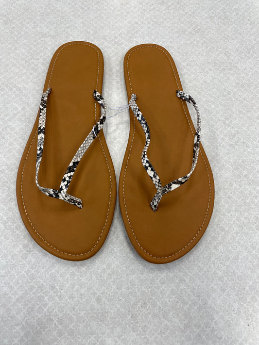 Sandals Flip Flops By Clothes Mentor  Size: 11