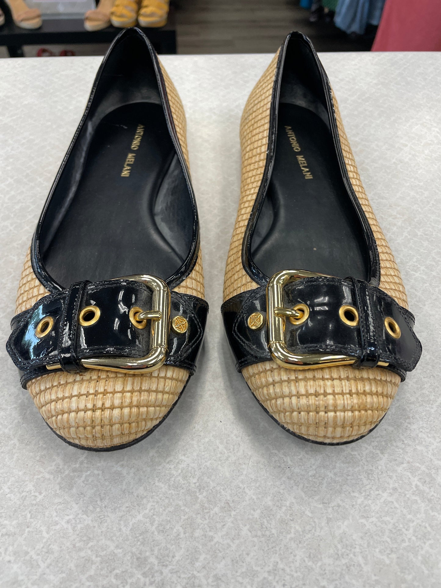 Shoes Flats By Antonio Melani  Size: 9.5