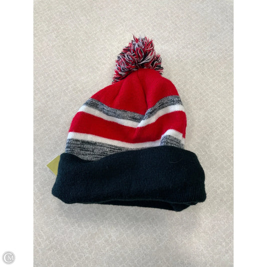 Hat Beanie By Clothes Mentor