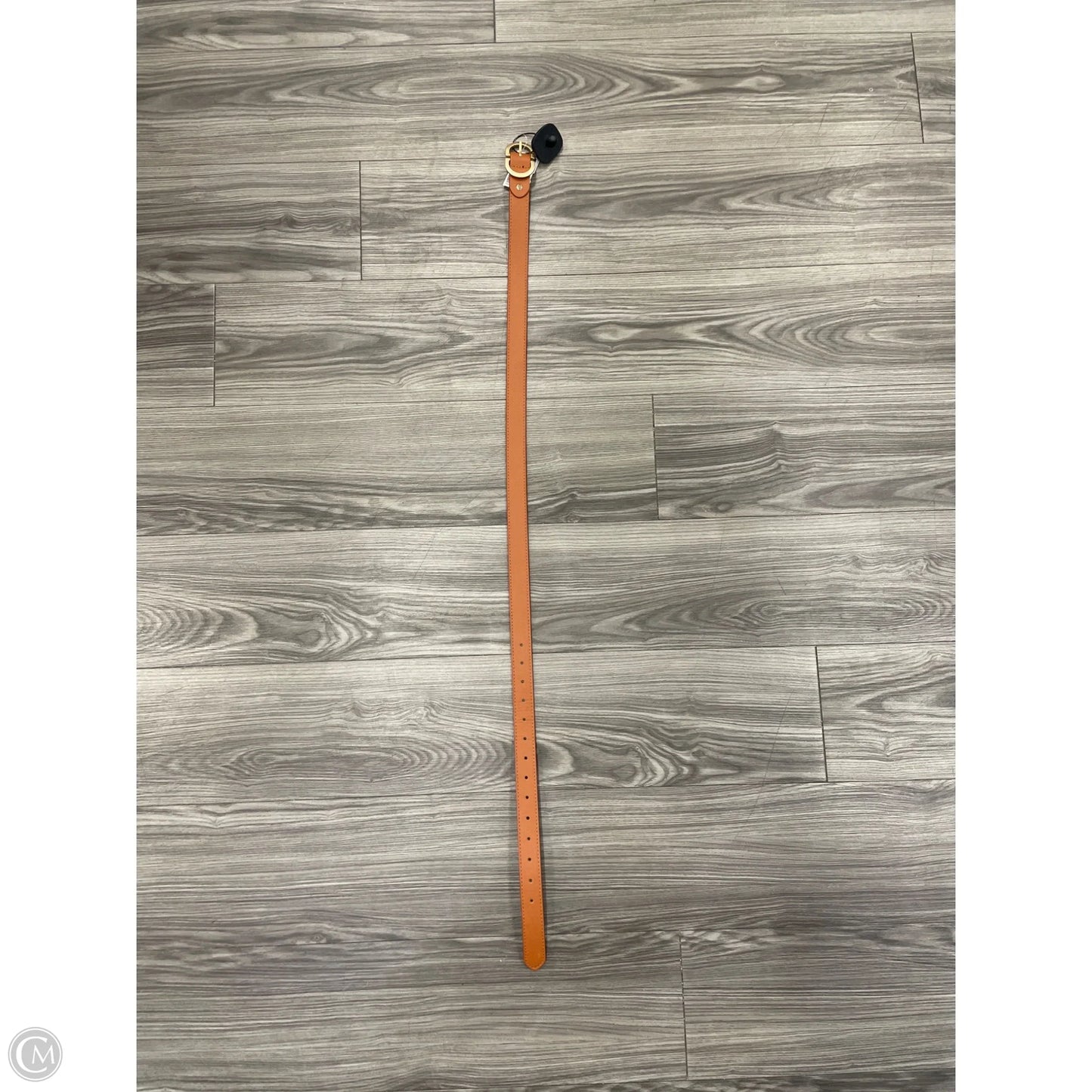 Belt By Clothes Mentor