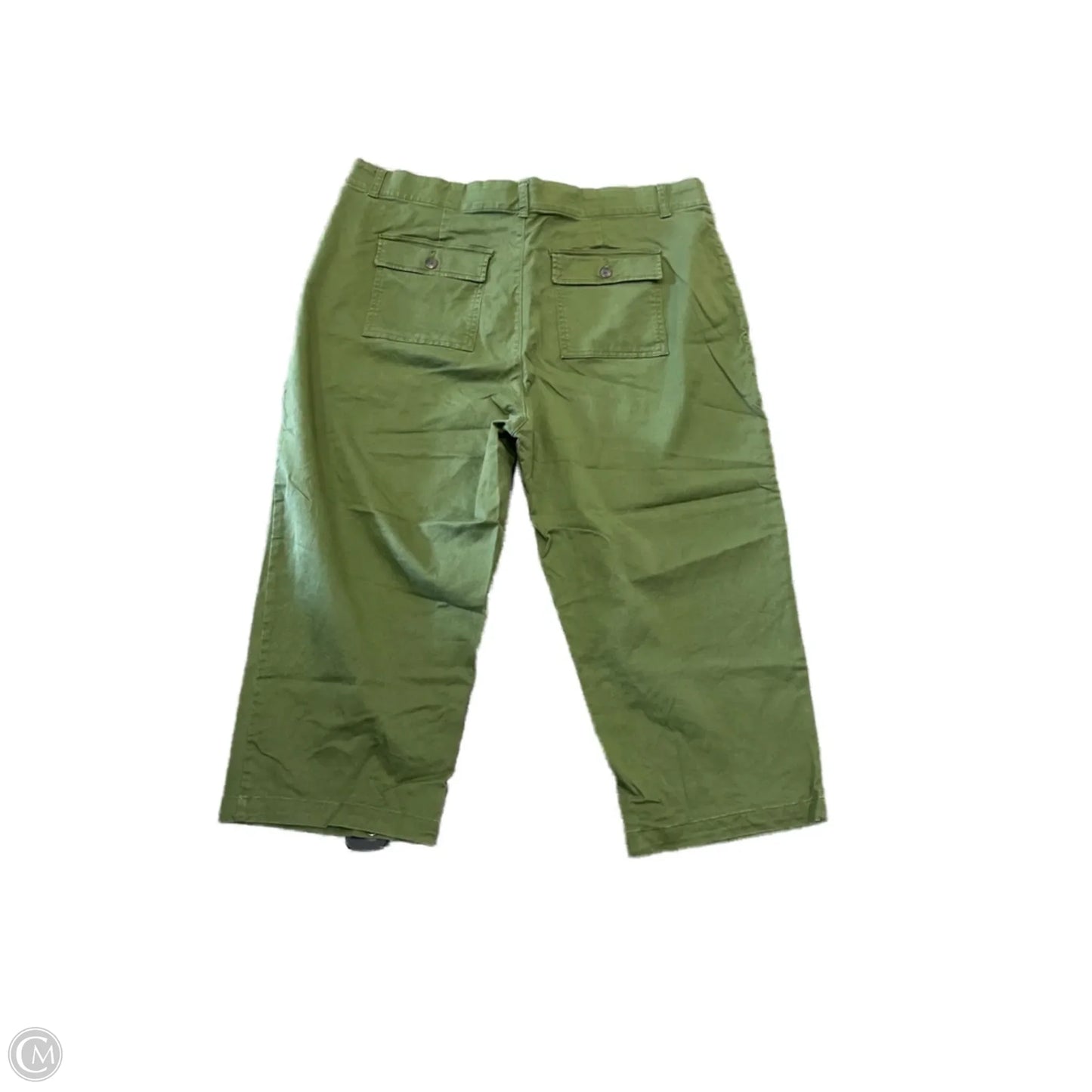 Pants Chinos & Khakis By Terra & Sky In Green, Size: 18