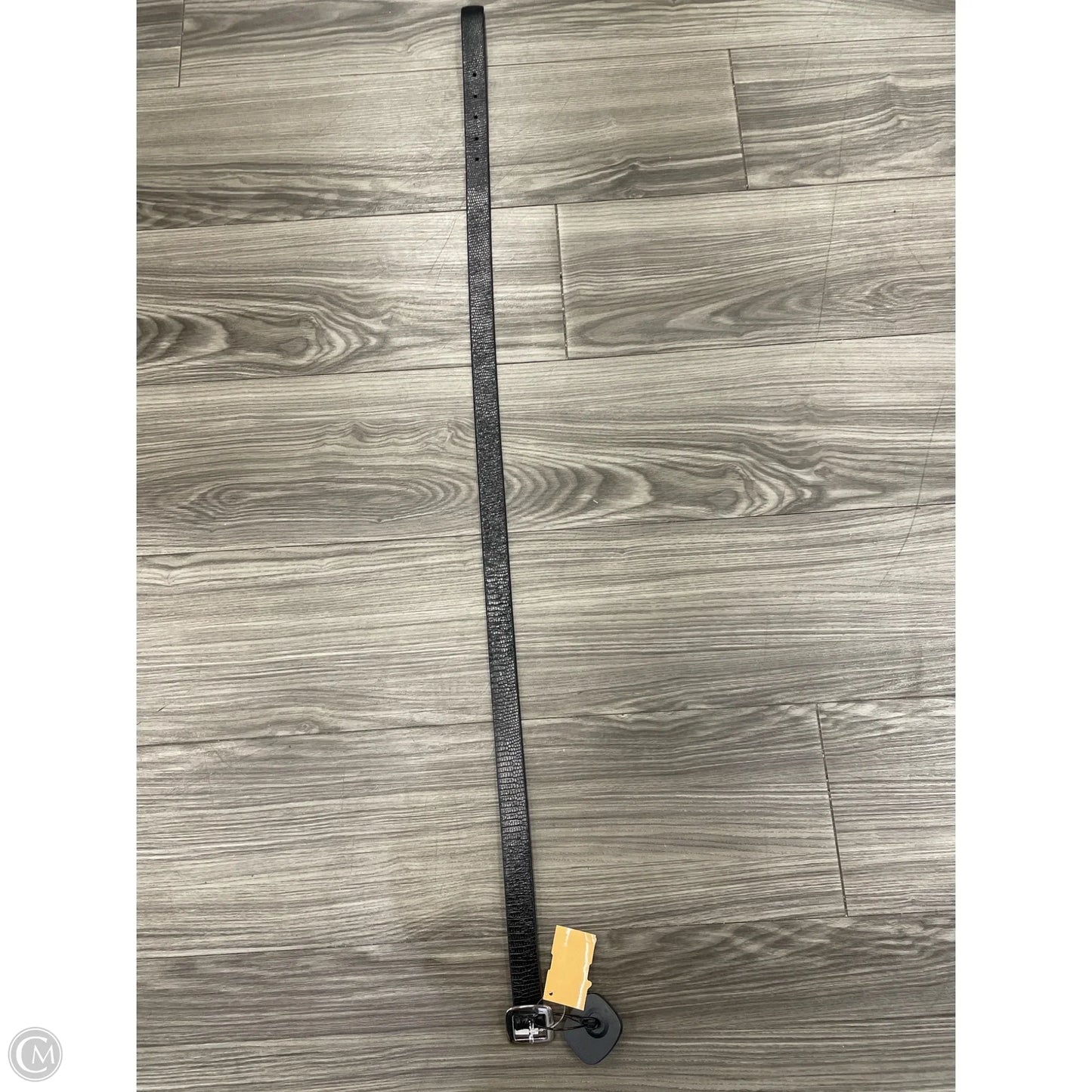 Belt By Clothes Mentor