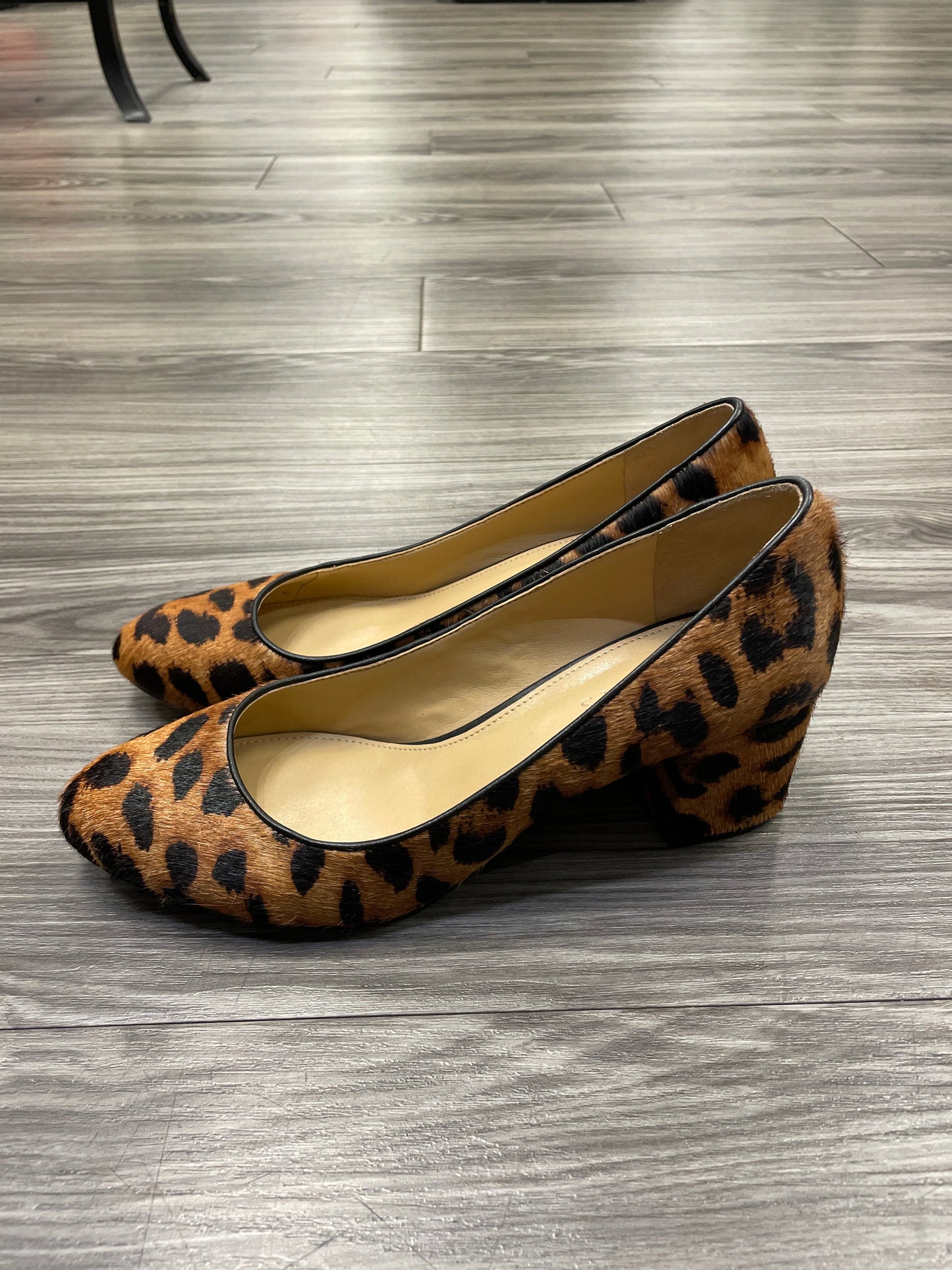 Shoes Heels Block By Talbots In Animal Print, Size: 8.5