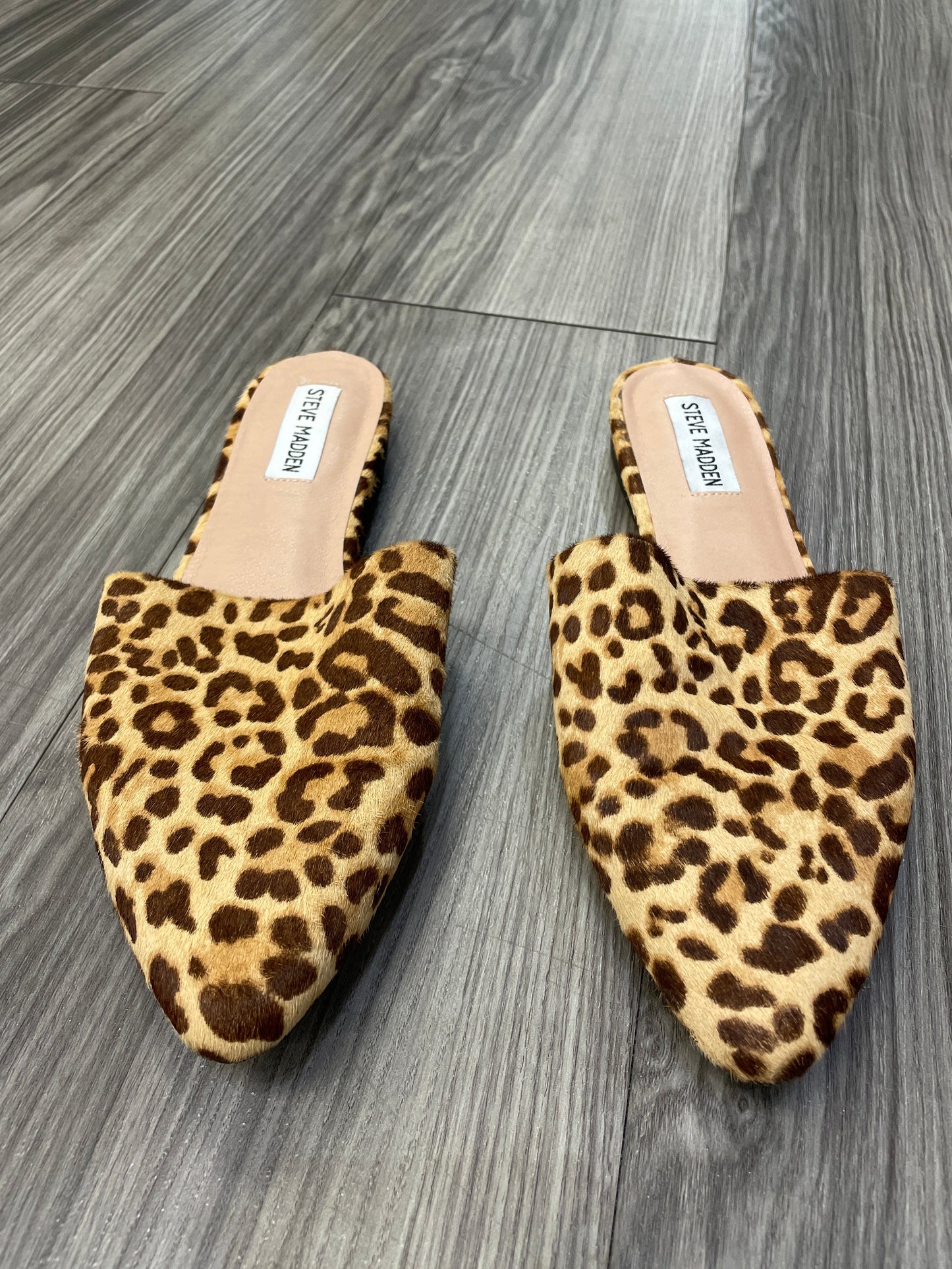 Shoes Flats Mule & Slide By Steve Madden  Size: 8.5