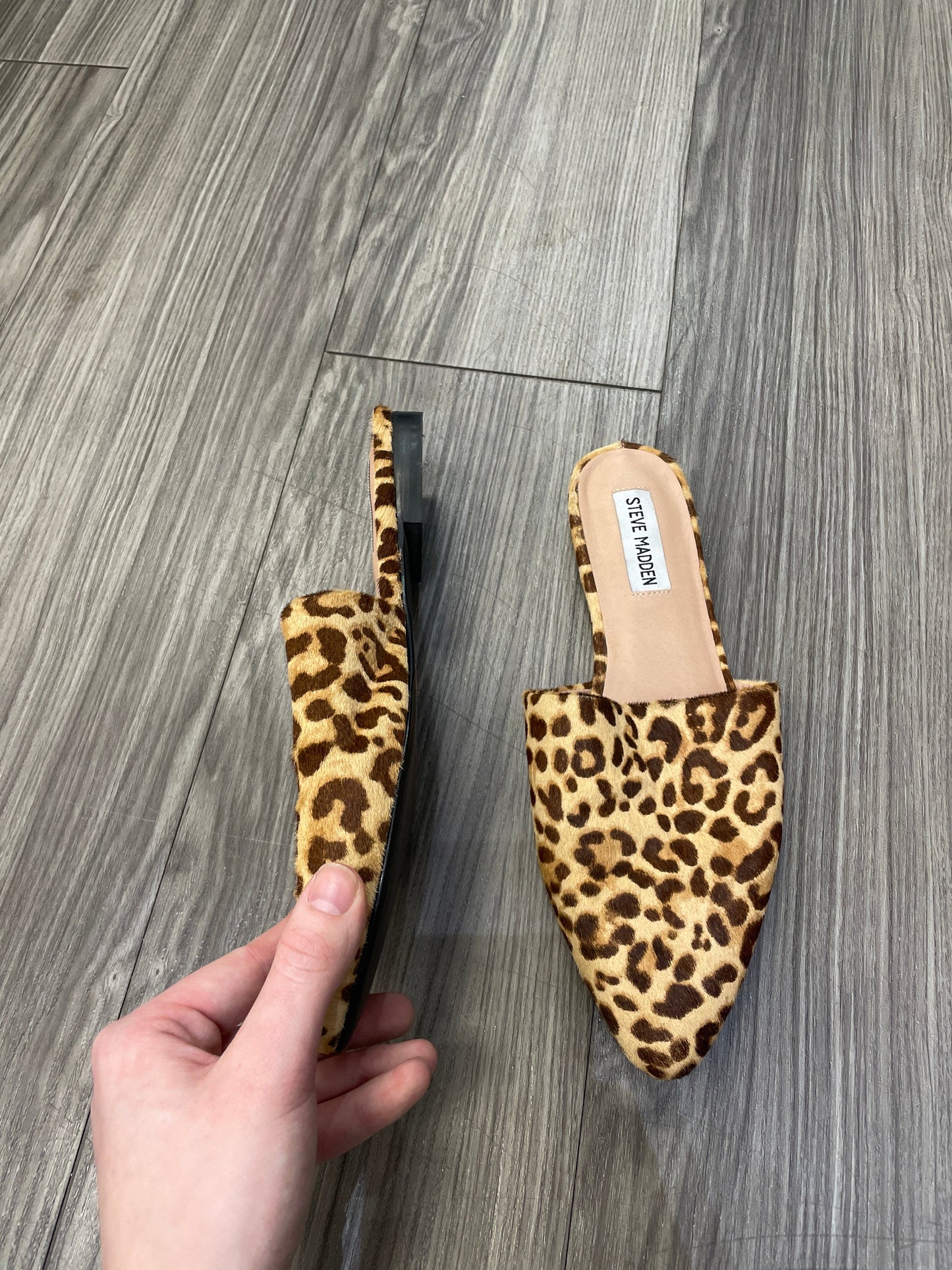 Shoes Flats Mule & Slide By Steve Madden  Size: 8.5