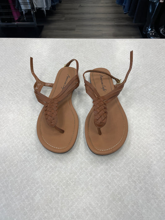 Brown Sandals Flip Flops American Eagle, Size 9