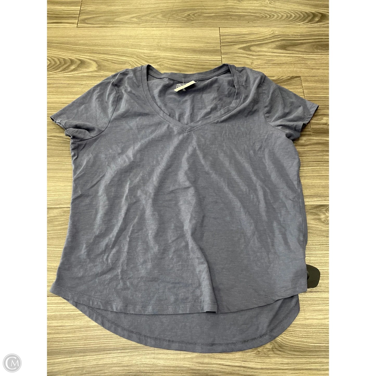 Top Short Sleeve By Falls Creek In Blue, Size: Xl