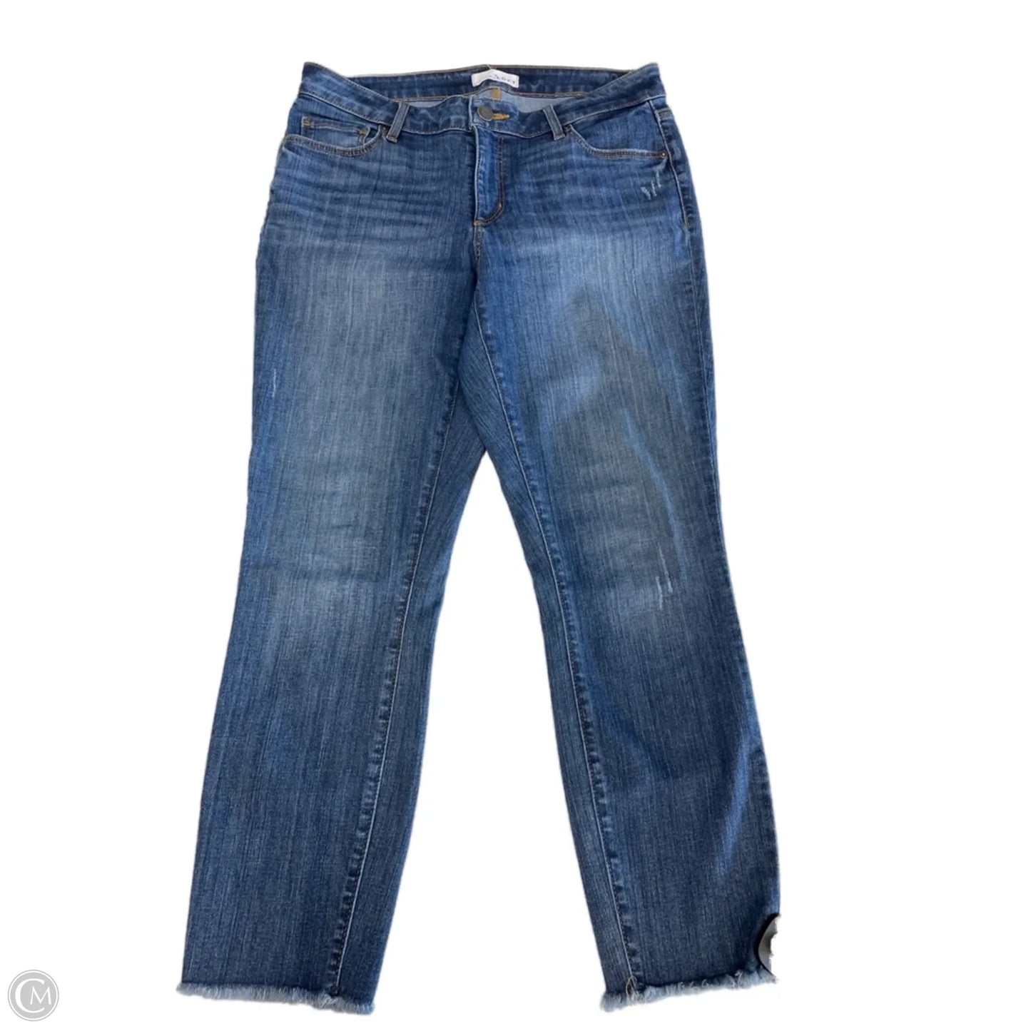 Jeans Skinny By Loft In Blue, Size: 8