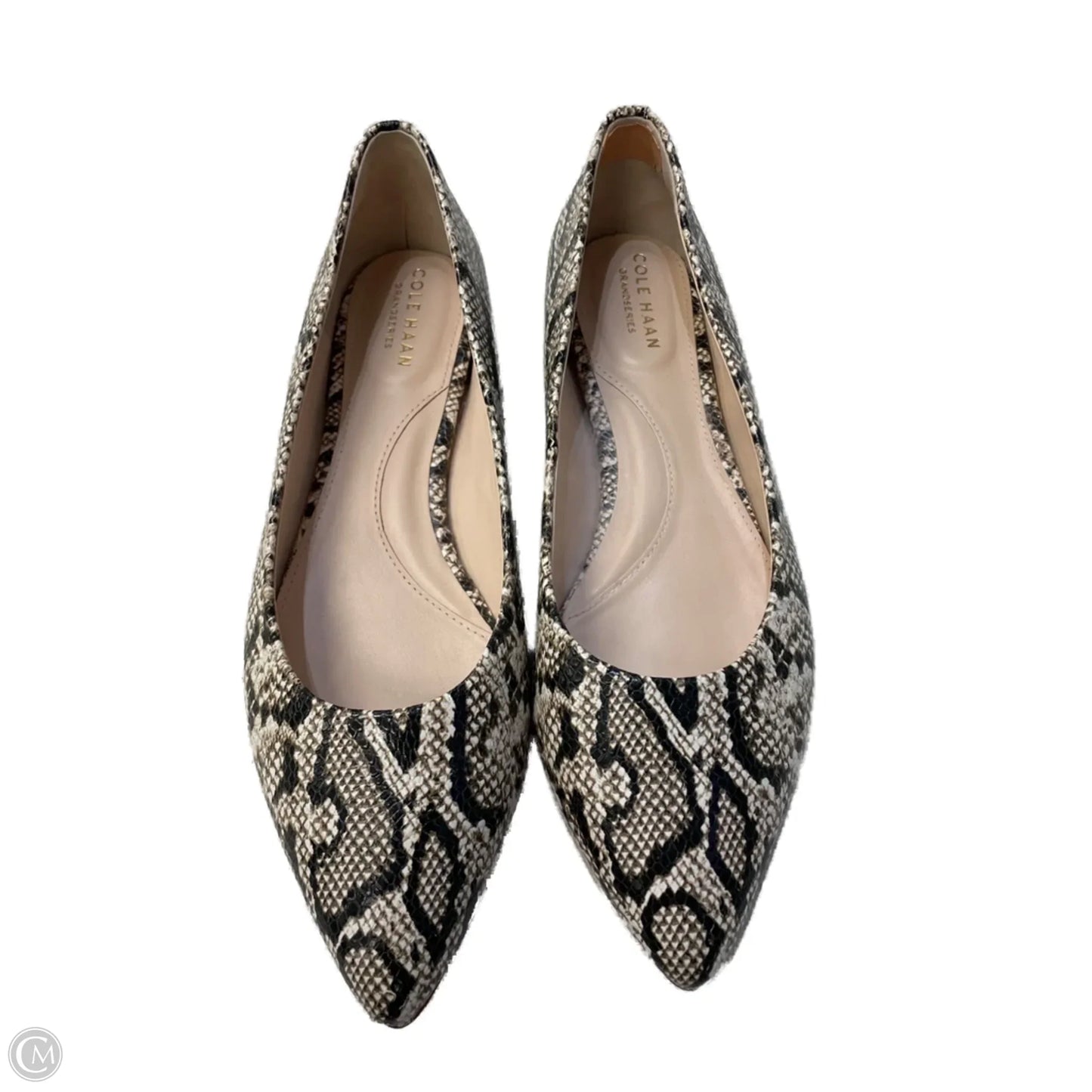Shoes Flats By Cole-haan In Snakeskin Print, Size: 8.5