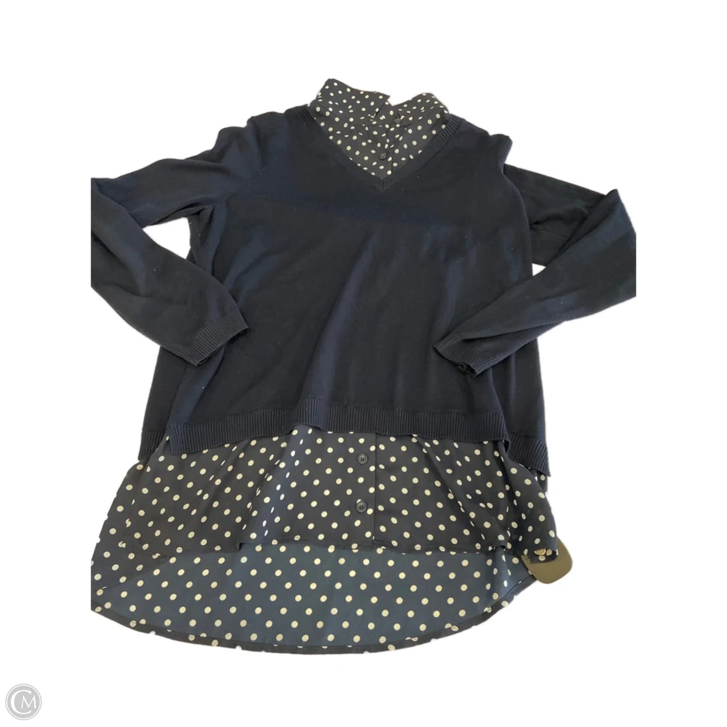 Top Long Sleeve By Adrianna Papell In Polkadot Pattern, Size: L