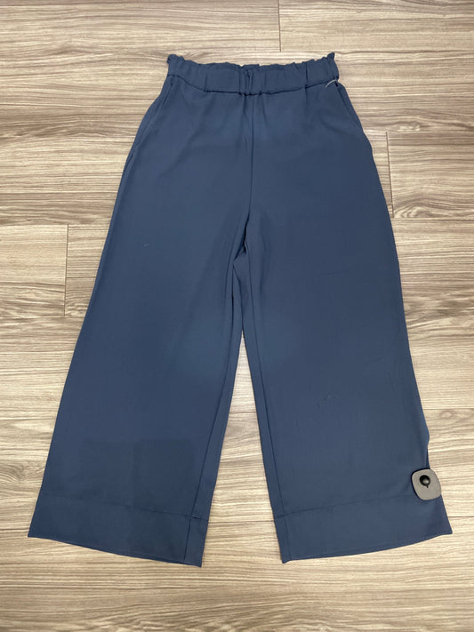 Blue Pants Wide Leg H&m, Size 4