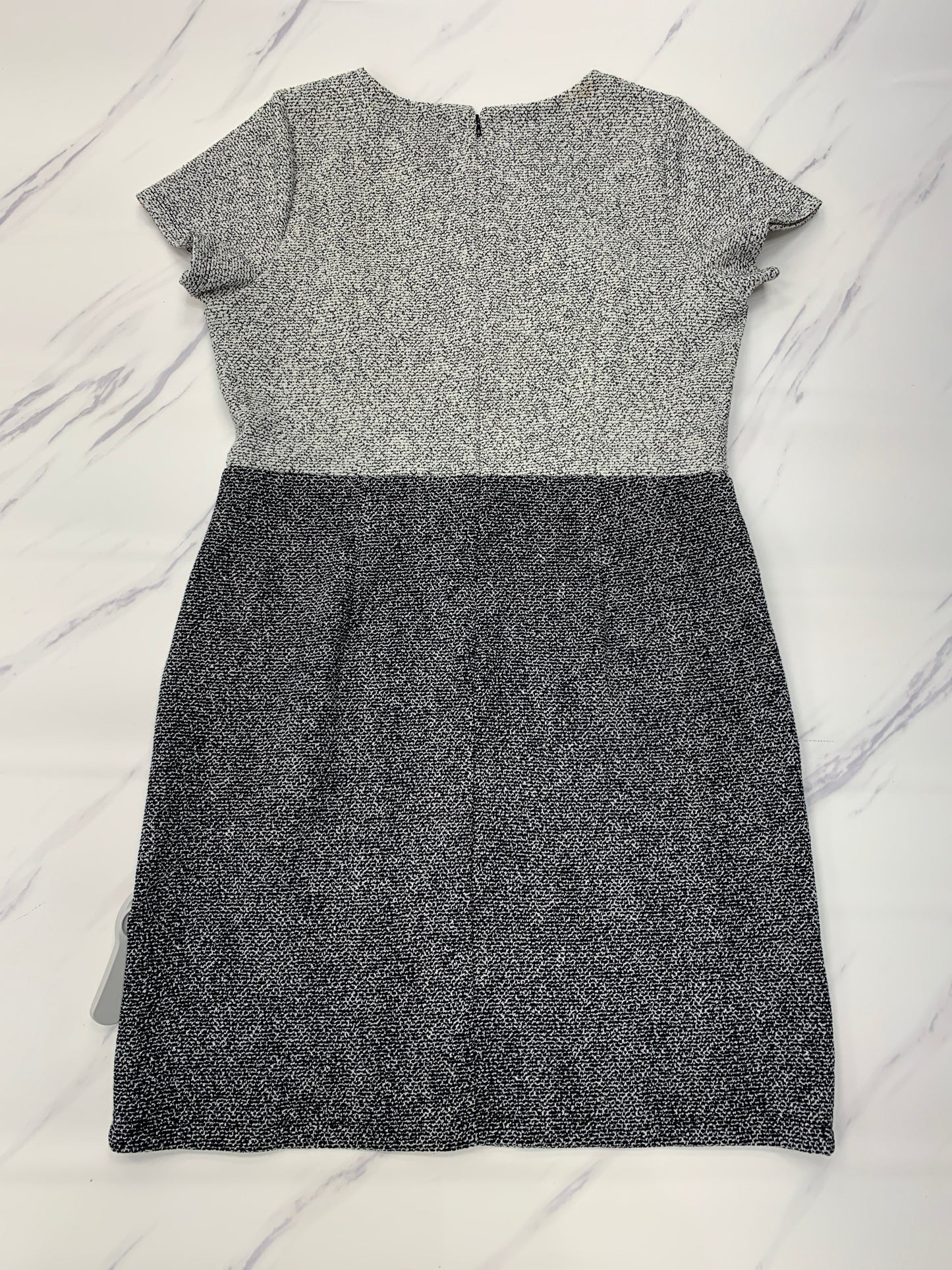 Dress Casual Short By Loft, Size: 10petite