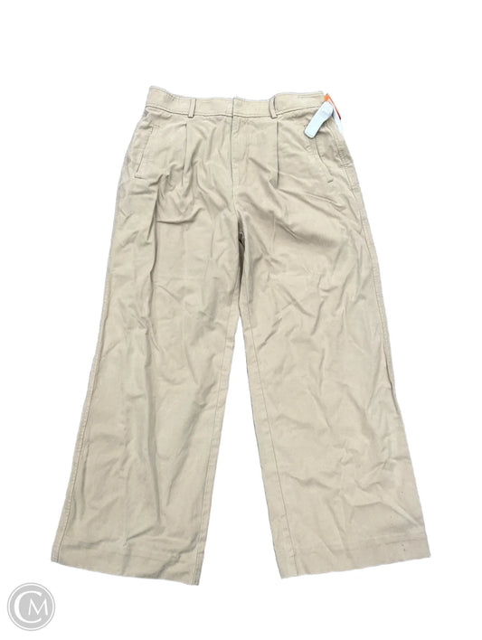 Pants Chinos & Khakis By Everlane In Tan, Size: 12p