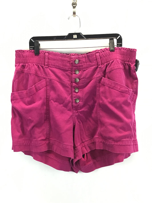Shorts By Knox Rose  Size: 2x