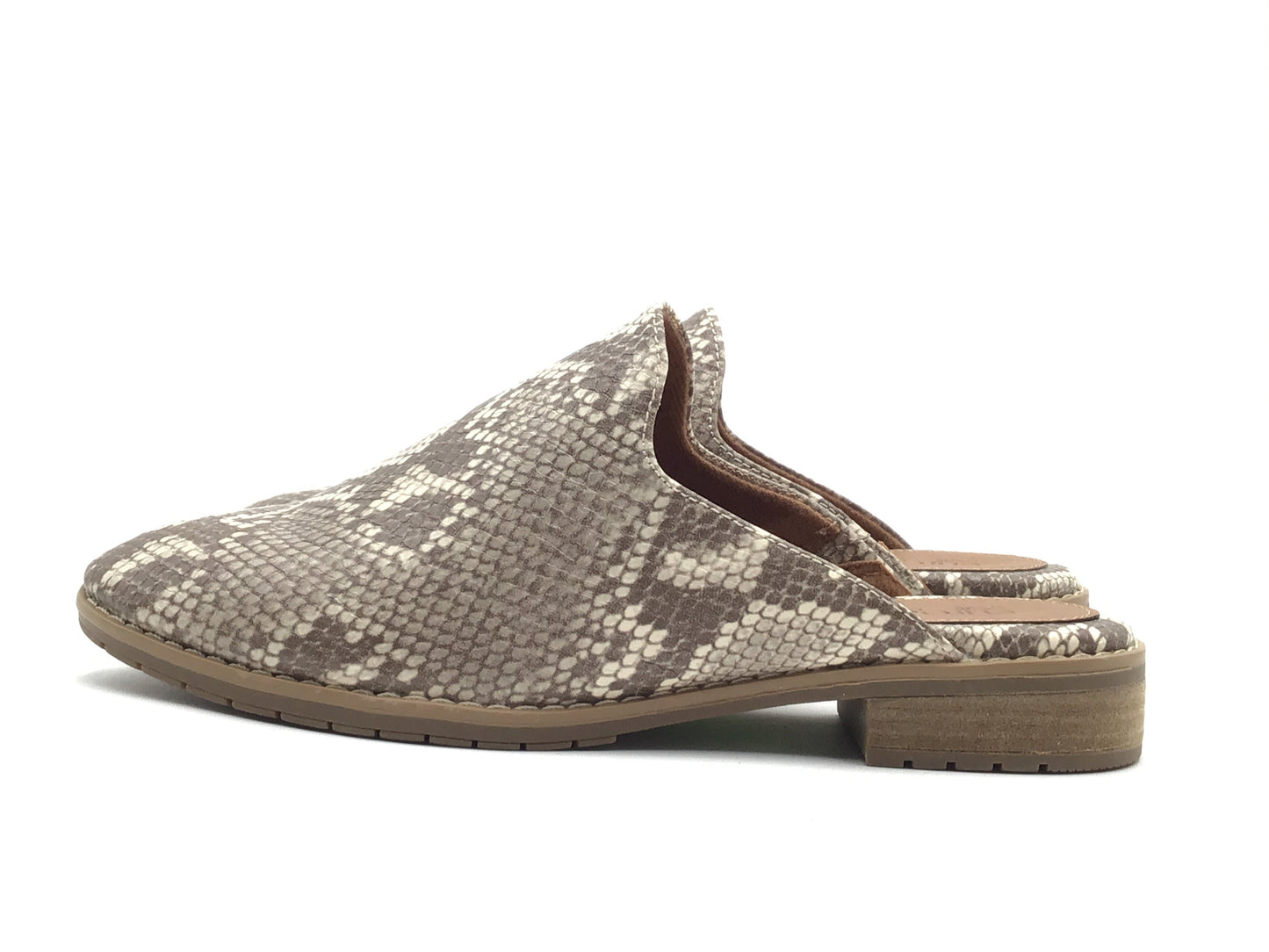 Shoes Flats By Sofft In Snakeskin Print, Size: 8