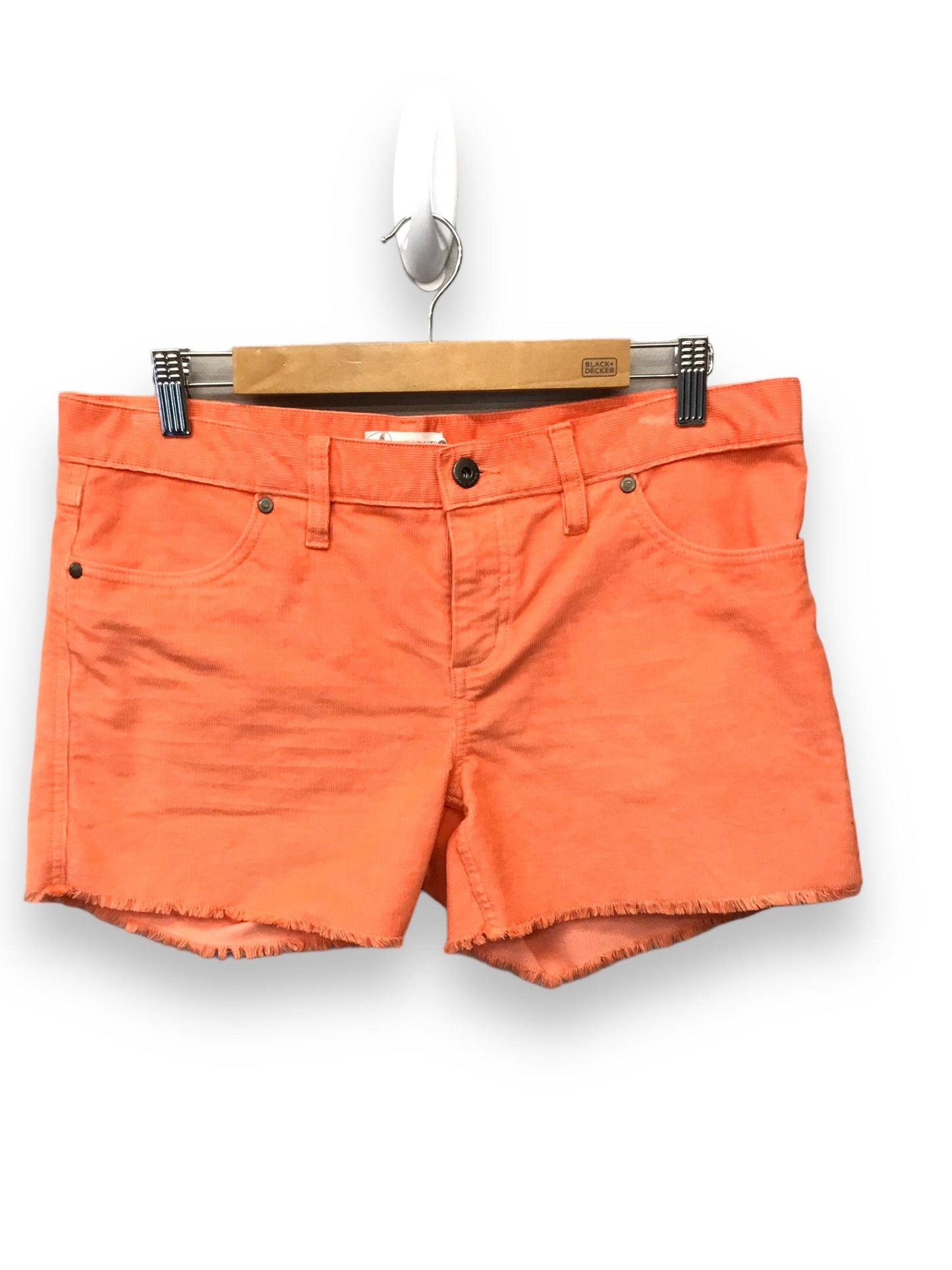 Shorts By Carve Designs  Size: S