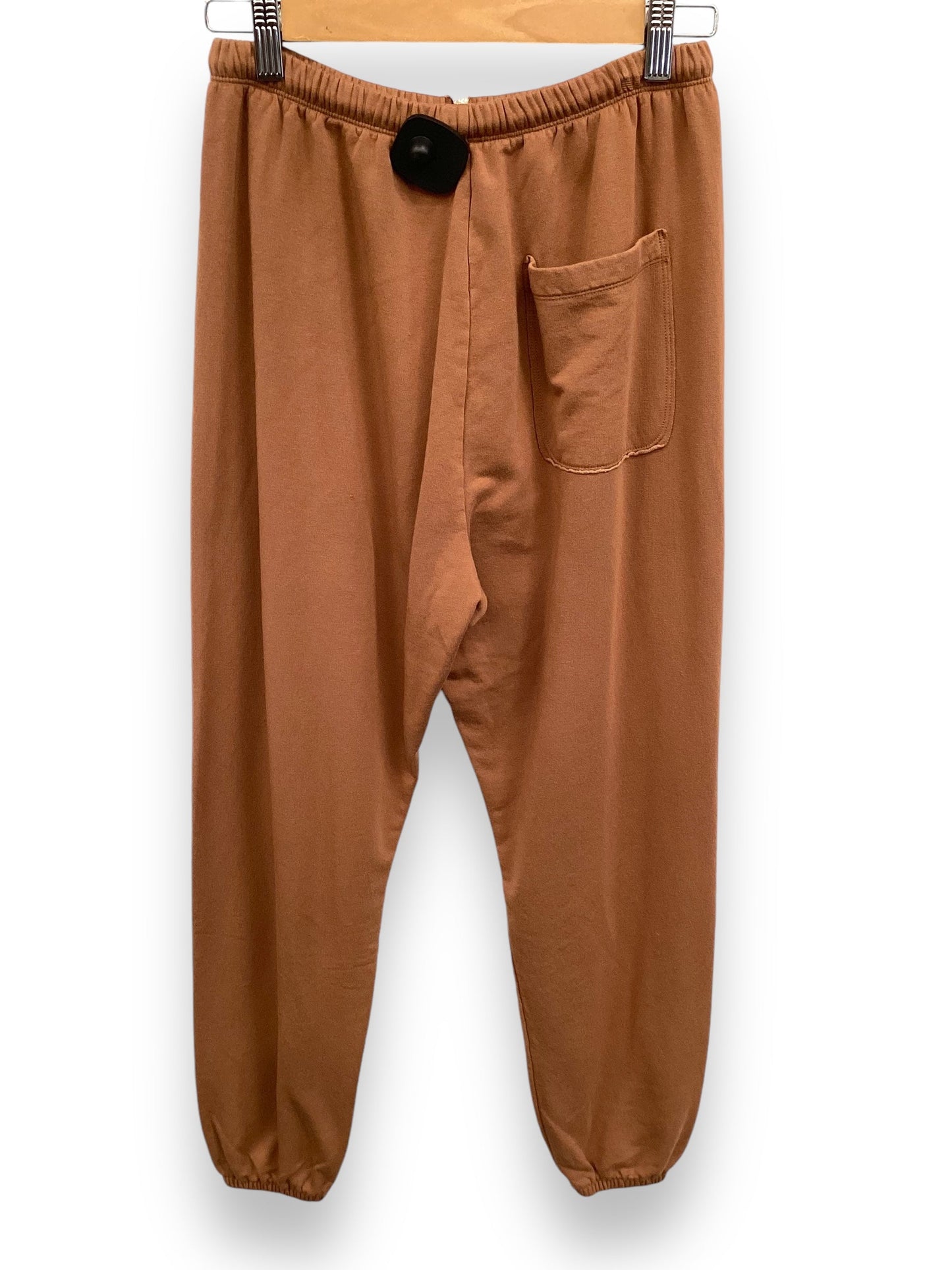 Athletic Pants By Aerie In Brown, Size: Xs