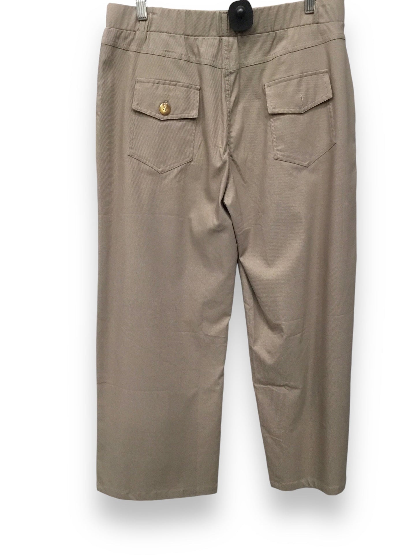 Pants Chinos & Khakis By Clothes Mentor In Brown, Size: 2x