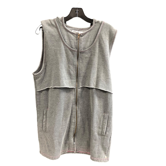 Vest Other By Clothes Mentor In Grey, Size: L